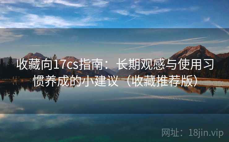 收藏向17cs指南：长期观感与使用习惯养成的小建议（收藏推荐版）