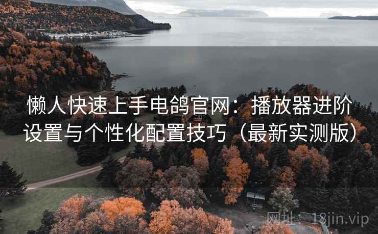 懒人快速上手电鸽官网：播放器进阶设置与个性化配置技巧（最新实测版）