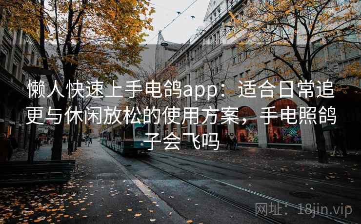 懒人快速上手电鸽app：适合日常追更与休闲放松的使用方案，手电照鸽子会飞吗