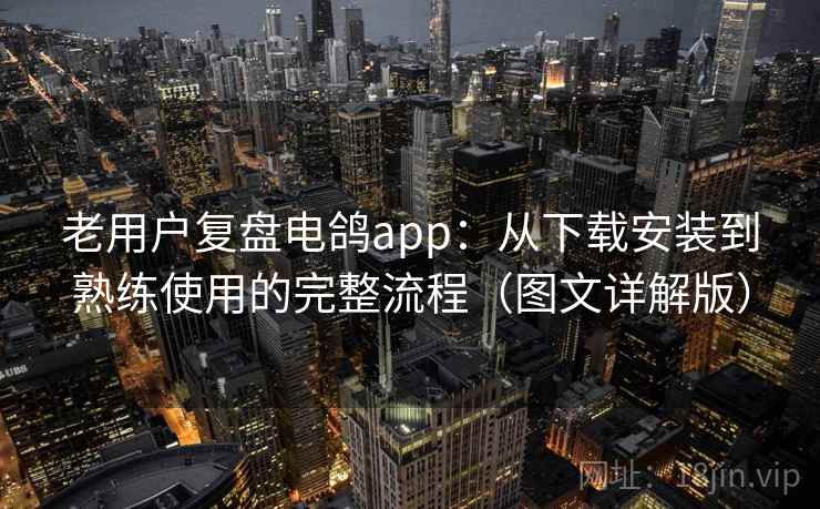 老用户复盘电鸽app:从下载安装到熟练使用的完整流程(图文详解版) 老用户复盘电鸽app:从下载安装到熟练使用的完整流程(图文详解版)