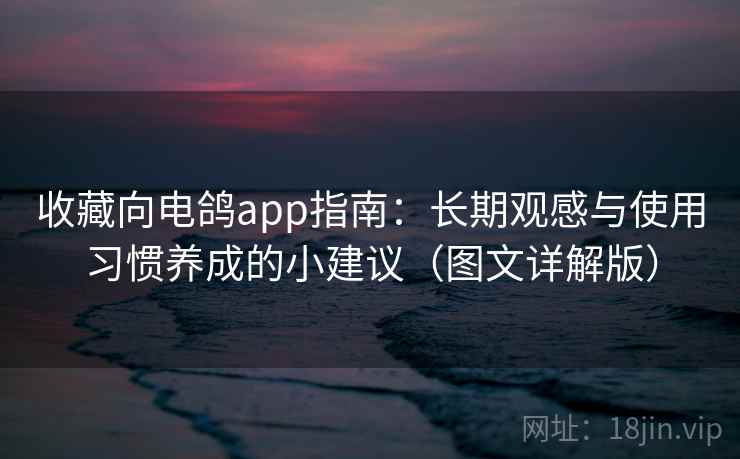 收藏向电鸽app指南：长期观感与使用习惯养成的小建议（图文详解版）