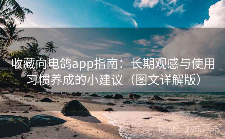 收藏向电鸽app指南：长期观感与使用习惯养成的小建议（图文详解版）