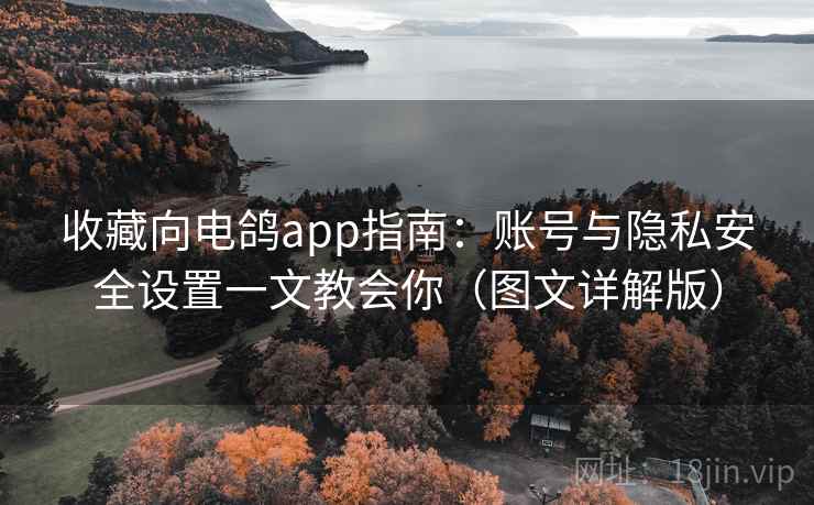 收藏向电鸽app指南：账号与隐私安全设置一文教会你（图文详解版）