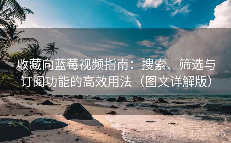 收藏向蓝莓视频指南：搜索、筛选与订阅功能的高效用法（图文详解版）