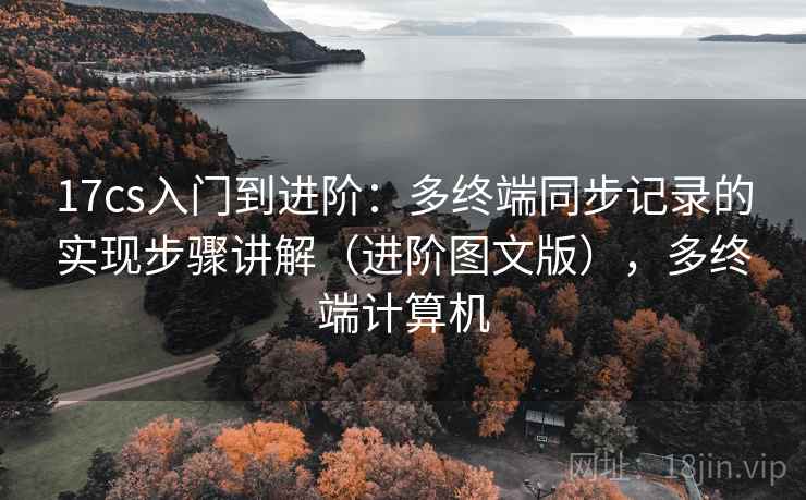 17cs入门到进阶：多终端同步记录的实现步骤讲解（进阶图文版），多终端计算机
