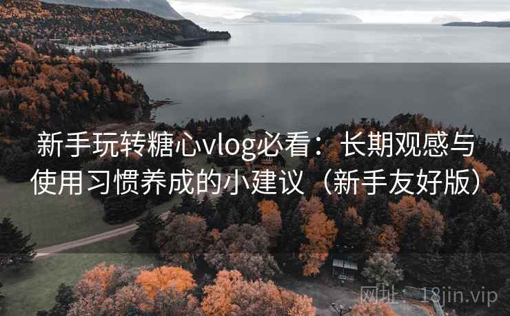 新手玩转糖心vlog必看：长期观感与使用习惯养成的小建议（新手友好版）