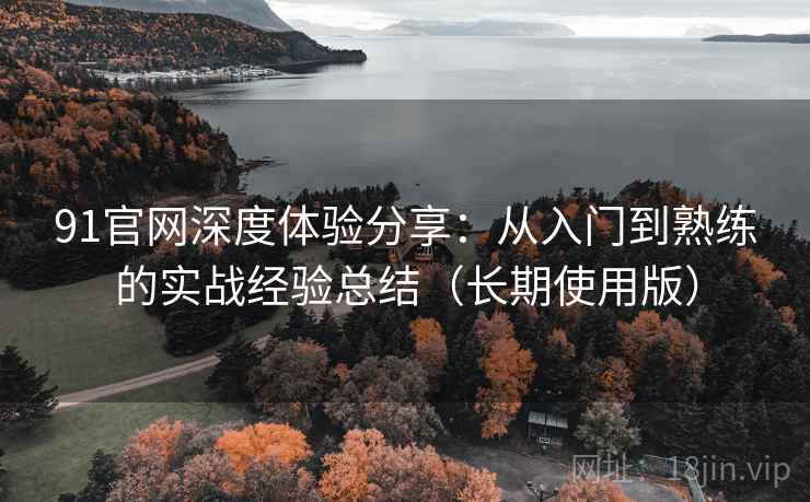91官网深度体验分享：从入门到熟练的实战经验总结（长期使用版）