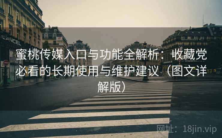 蜜桃传媒入口与功能全解析:收藏党必看的长期使用与维护建议(图文详解版) 蜜桃传媒入口与功能全解析:收藏党必看的长期使用与维护建议(图文详解版)