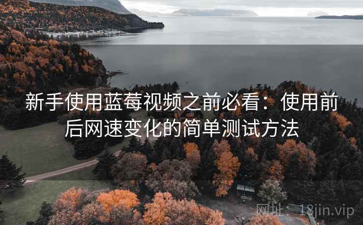 新手使用蓝莓视频之前必看：使用前后网速变化的简单测试方法