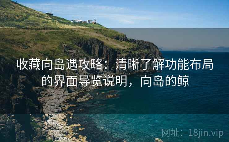 收藏向岛遇攻略：清晰了解功能布局的界面导览说明，向岛的鲸