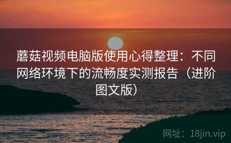 蘑菇视频电脑版使用心得整理：不同网络环境下的流畅度实测报告（进阶图文版）