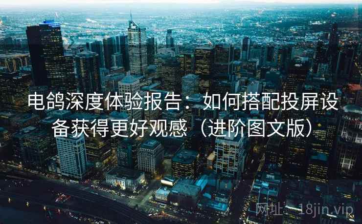 电鸽深度体验报告：如何搭配投屏设备获得更好观感（进阶图文版）