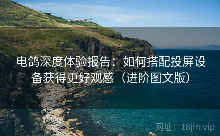 电鸽深度体验报告：如何搭配投屏设备获得更好观感（进阶图文版）